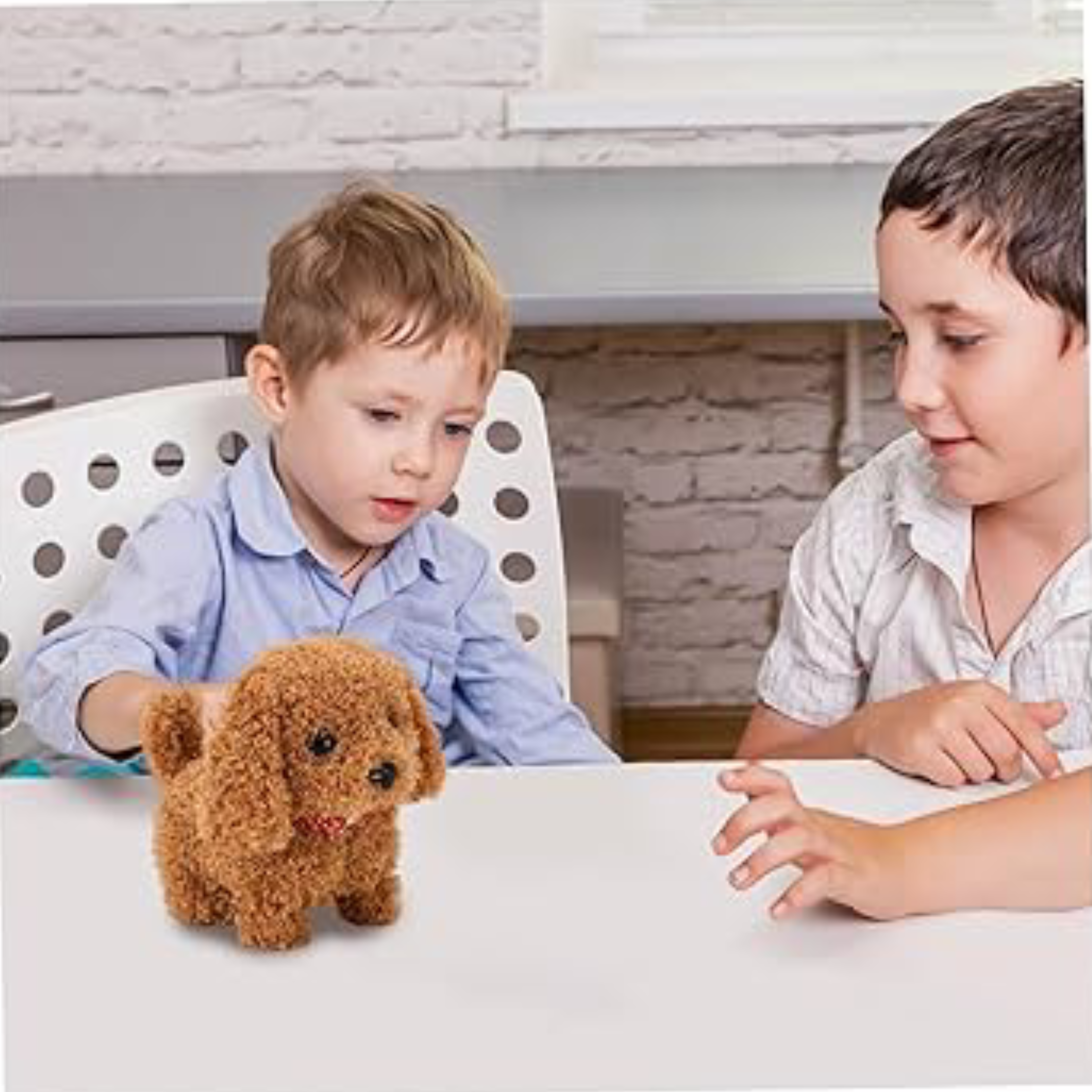 froplay dog reviews Ethan K.